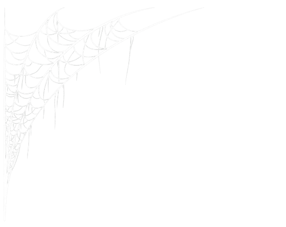 Spider web decoration